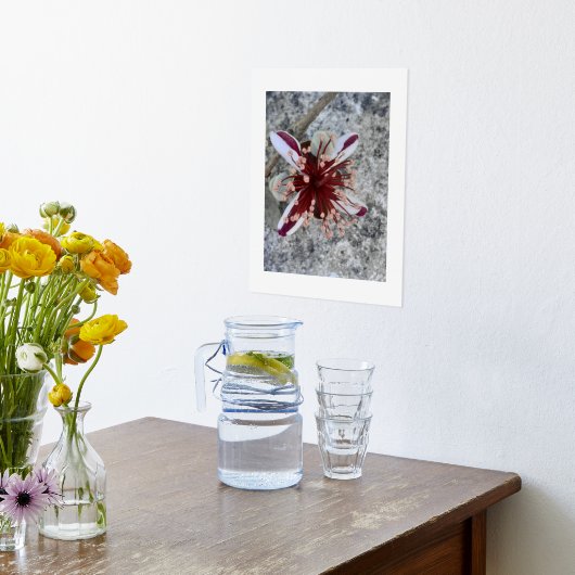 IMPRESSIONS DORURE  IMPRIMER L'ART ET LA CONCEPTION DES POSTES (Couchage (Cuisine))