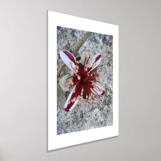 IMPRESSIONS DORURE  IMPRIMER L'ART ET LA CONCEPTION DES POSTES (Poser)