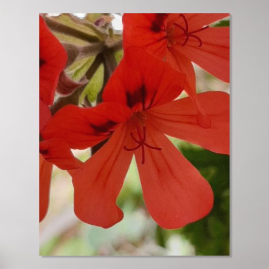 IMPRESSIONS DORURE  IMPRIMER L'ART ET LA CONCEPTION DES POSTES (Recto)