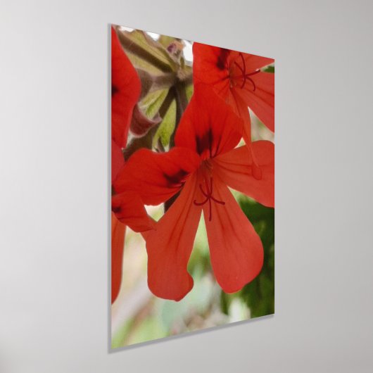 IMPRESSIONS DORURE  IMPRIMER L'ART ET LA CONCEPTION DES POSTES (Poser)