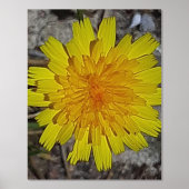 IMPRESSIONS DORURE  IMPRIMER L'ART ET LA CONCEPTION DES POSTES (Recto)