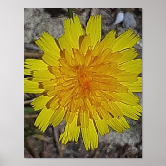 IMPRESSIONS DORURE  IMPRIMER L'ART ET LA CONCEPTION DES POSTES (Recto)