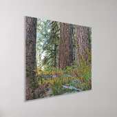 Impressions Dorure John Muir Nature Citation Forêt Wilderness (Poser)