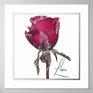 Impressions Dorure Love Foil Accent Rose rouge affiche