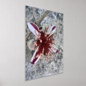 IMPRESSIONS DORURE  STYLES D'ART ET DE DESIGN D'IMPRIMANTE FOIL (Poser)