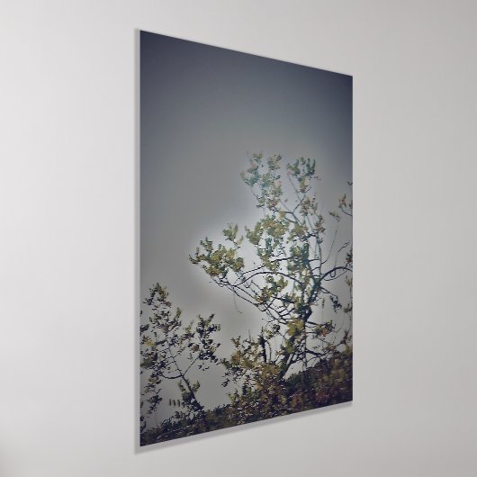 IMPRESSIONS DORURE  STYLES D'ART ET DE DESIGN D'IMPRIMANTE FOIL (Poser)