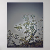 IMPRESSIONS DORURE  STYLES D'ART ET DE DESIGN D'IMPRIMANTE FOIL (Recto)