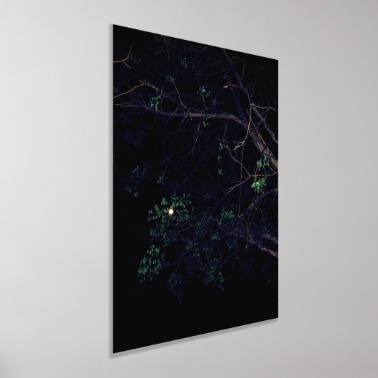 IMPRESSIONS DORURE  STYLES D'ART ET DE DESIGN D'IMPRIMANTE FOIL (Poser)