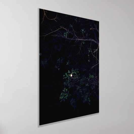 IMPRESSIONS DORURE  STYLES D'ART ET DE DESIGN D'IMPRIMANTE FOIL (Poser)