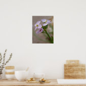 Impressions photographiques de fleurs (Cuisine)