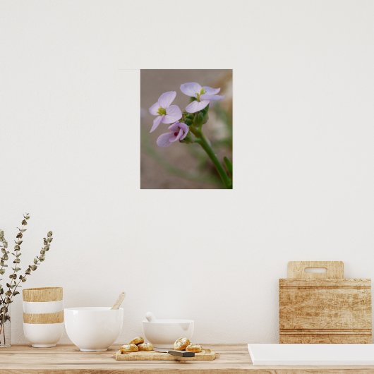 Impressions photographiques florales (Cuisine)