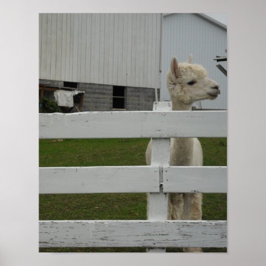 Impressions photos (Devant)