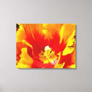 Impressions sur toile botanique Fleurs de tulipes