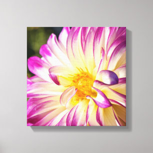 Impressions sur toile de fleurs de dahlia Dahlias