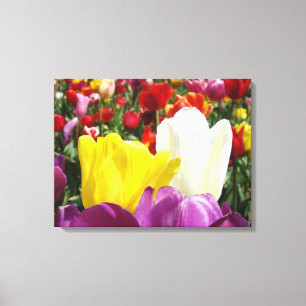 Impressions sur toile de fleurs de tulipes Tulipes