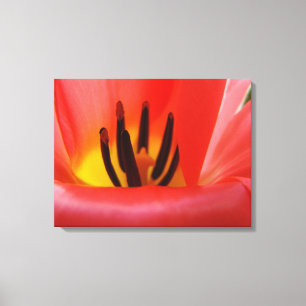 Impressions sur toile de panneau d'art fin Fleur d