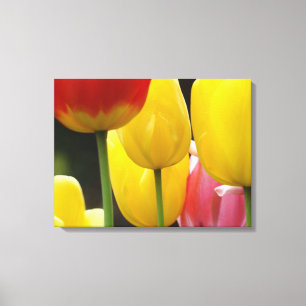 Impressions sur toile en trois panneaux Photograph