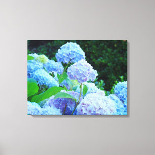 Impressions sur toile florale d'hortensias bleus p
