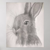 Imprimantes d'art lapin, Affiches (Devant)
