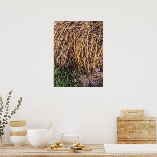 Imprimé 5, Poster Papier (Semi-Gloss) (Cuisine)