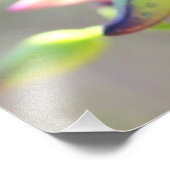 imprimé photo de fleurs yucca (Coin)