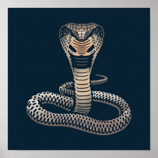 Imprimer la faune King Cobra | Impression Cobra (Devant)