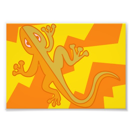 Imprimer la photo de Salamander (Devant)