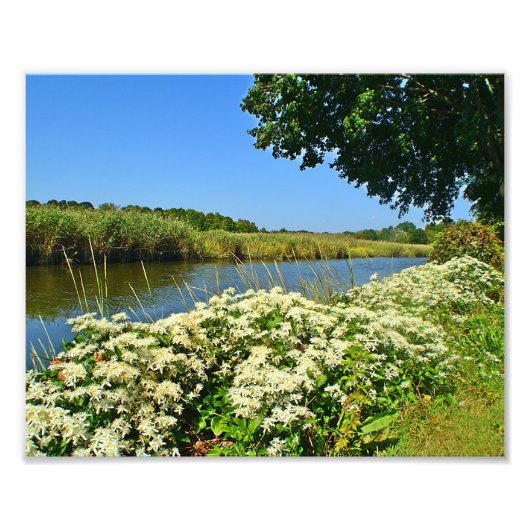 Imprimer la photo du marais de Guilford (Devant)