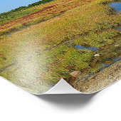 Imprimer la photo du marais de Seashore (Coin)