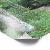 Imprimer la photo du tracé de la forêt (Coin)