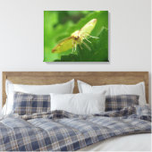 Imprimer la toile Moth Brimstone (Insitu(Chambre))