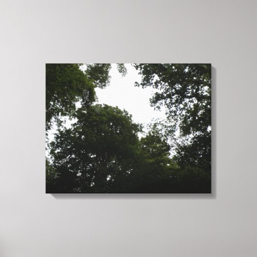 Imprimer le canevas de forêt déplaisante (Recto)