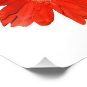 Imprimer l'élégante photo orange (Coin)