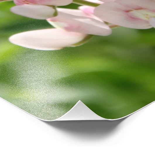 Imprimer photo bleu rose (Coin)