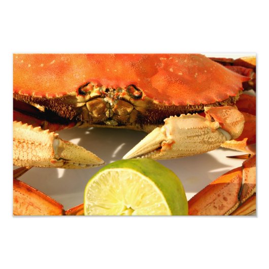 Imprimer photo crabe Dungeness (Devant)