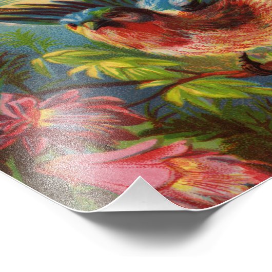 Imprimer photo de Bluebird été (Coin)