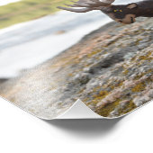 Imprimer photo du camping-orignal (Coin)