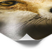 Imprimer photo face Fox (Coin)