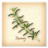 Imprimer photo Herbe de romarin (Devant)