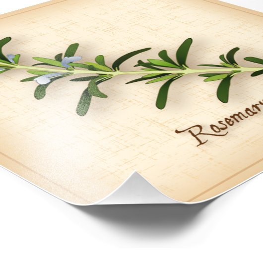 Imprimer photo Herbe de romarin (Coin)