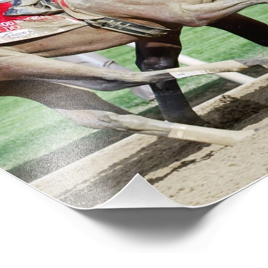 Imprimer photo Mo Donegal (Coin)