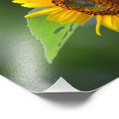 Imprimer photo tournesol (Coin)