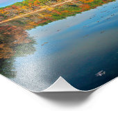 Imprimer photo Walden Pond (Coin)