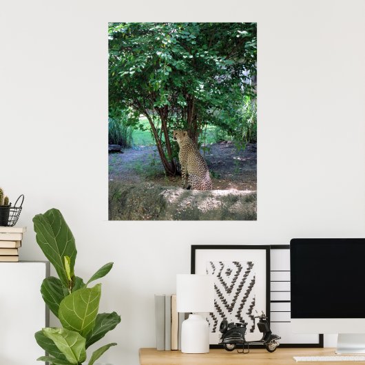 Imprimer / Poster de Cheetah (Bureau à domicile)