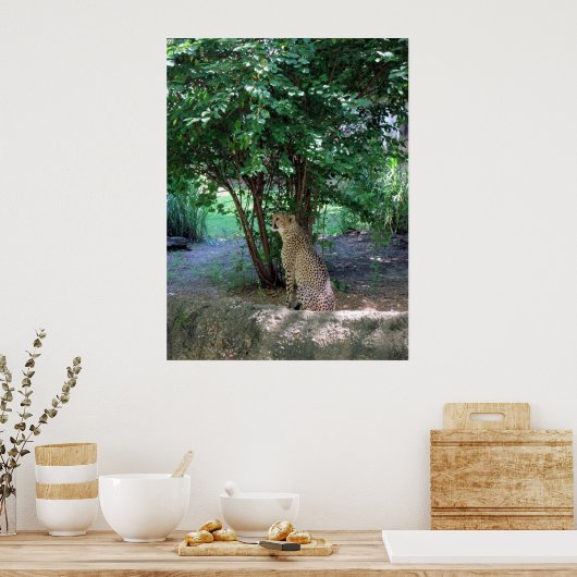 Imprimer / Poster de Cheetah (Cuisine)