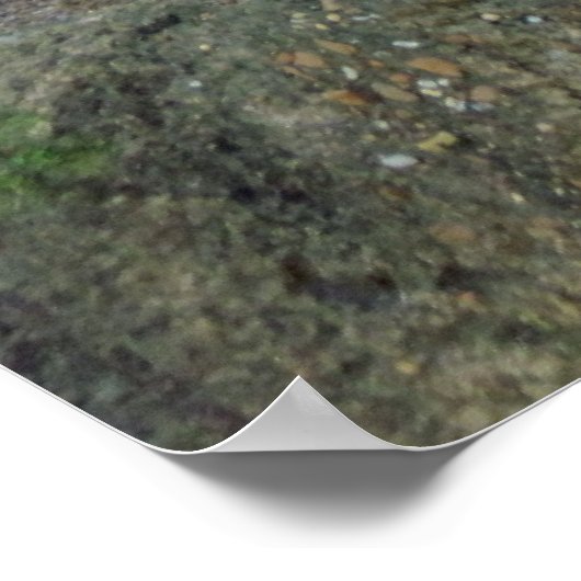 Imprimer / Poster de Cheetah (Coin)