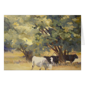 .In afwachting van een zomerwind in de Lone Star-s