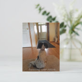 In afwachting van je terugkeer briefkaart (Staand voorkant)