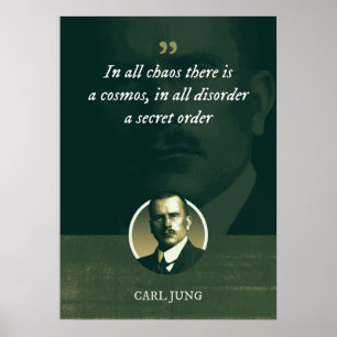 In alle chaos is er een kosmos, in alle wanorde poster