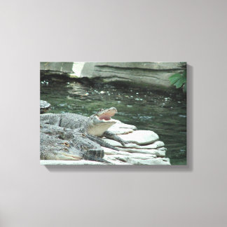 In alligator verpakt canvas afdruk